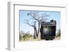 Baobab Tree Viewed Through Speed Graphic, Nxai Pan National Park, Botswana-Paul Souders-Framed Photographic Print