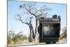 Baobab Tree Viewed Through Speed Graphic, Nxai Pan National Park, Botswana-Paul Souders-Mounted Photographic Print