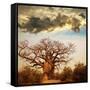 Baobab Tree-Andrushko Galyna-Framed Stretched Canvas