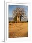 Baobab Tree-Michele Westmorland-Framed Photographic Print