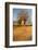 Baobab Tree-Michele Westmorland-Framed Photographic Print