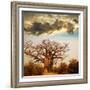 Baobab Tree-Andrushko Galyna-Framed Photographic Print