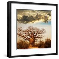 Baobab Tree-Andrushko Galyna-Framed Photographic Print