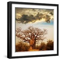 Baobab Tree-Andrushko Galyna-Framed Photographic Print