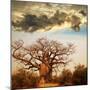 Baobab Tree-Andrushko Galyna-Mounted Photographic Print