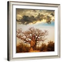 Baobab Tree-Andrushko Galyna-Framed Photographic Print