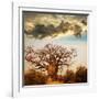 Baobab Tree-Andrushko Galyna-Framed Photographic Print