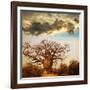 Baobab Tree-Andrushko Galyna-Framed Photographic Print