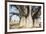 Baobab Tree-Andrushko Galyna-Framed Photographic Print