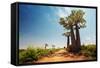 Baobab Trees along the Unpaved Red Road at Sunny Hot Day. Madagascar-Dudarev Mikhail-Framed Stretched Canvas