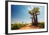 Baobab Trees along the Unpaved Red Road at Sunny Hot Day. Madagascar-Dudarev Mikhail-Framed Photographic Print