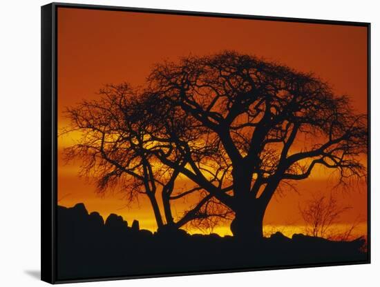 Baobab Trees at Sunset-Paul Souders-Framed Stretched Canvas
