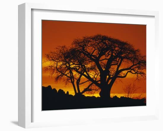 Baobab Trees at Sunset-Paul Souders-Framed Photographic Print