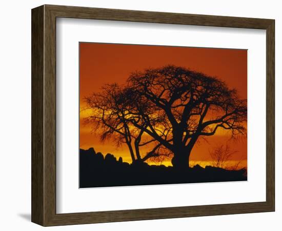 Baobab Trees at Sunset-Paul Souders-Framed Photographic Print