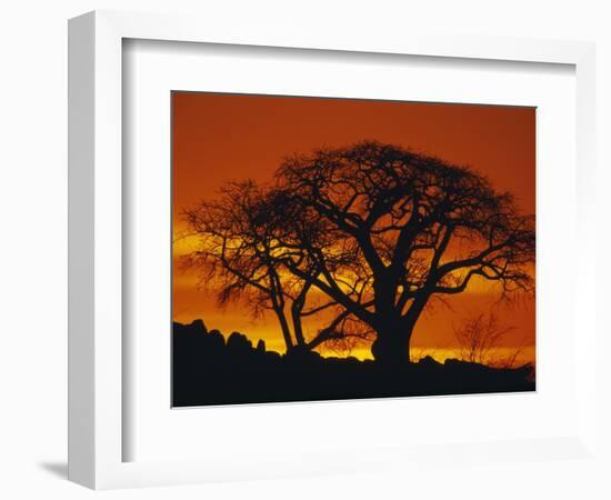 Baobab Trees at Sunset-Paul Souders-Framed Photographic Print