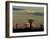 Baobab Trees in Baobabs Avenue, Near Morondava, West Madagascar-Inaki Relanzon-Framed Photographic Print