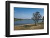 Baobab Trees in Kununurra, Kimberleys, Western Australia, Australia, Pacific-Michael Runkel-Framed Photographic Print