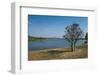 Baobab Trees in Kununurra, Kimberleys, Western Australia, Australia, Pacific-Michael Runkel-Framed Photographic Print