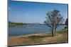 Baobab Trees in Kununurra, Kimberleys, Western Australia, Australia, Pacific-Michael Runkel-Mounted Photographic Print