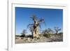 Baobab Trees, Kubu Island, Botswana-Paul Souders-Framed Photographic Print