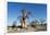 Baobab Trees, Kubu Island, Botswana-Paul Souders-Framed Photographic Print