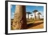 Baobab Trees, Morondava, Madagascar, Africa-Bruno Morandi-Framed Photographic Print