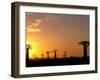 Baobabs, Morondava, Madagascar-Pete Oxford-Framed Premium Photographic Print