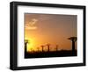 Baobabs, Morondava, Madagascar-Pete Oxford-Framed Photographic Print