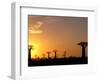 Baobabs, Morondava, Madagascar-Pete Oxford-Framed Photographic Print