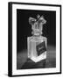 Baom Perfume Costing $120-null-Framed Photographic Print