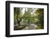 Baotu Spring Park, Jinan, Shandong province, China, Asia-Michael Snell-Framed Photographic Print