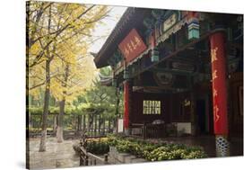 Baotu Spring Park, Jinan, Shandong province, China, Asia-Michael Snell-Stretched Canvas