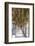 Baphuon Temple in Angkor Thom-Michael Nolan-Framed Photographic Print