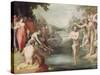 Baptism of Christ (Oil on Canvas)-Cornelis Cornelisz van Haarlem-Stretched Canvas