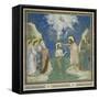 Baptism of Christ-Giotto di Bondone-Framed Stretched Canvas