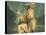 Baptism of Christ-null-Stretched Canvas