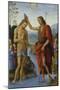 Baptism of Christ-Pietro Perugino-Mounted Giclee Print