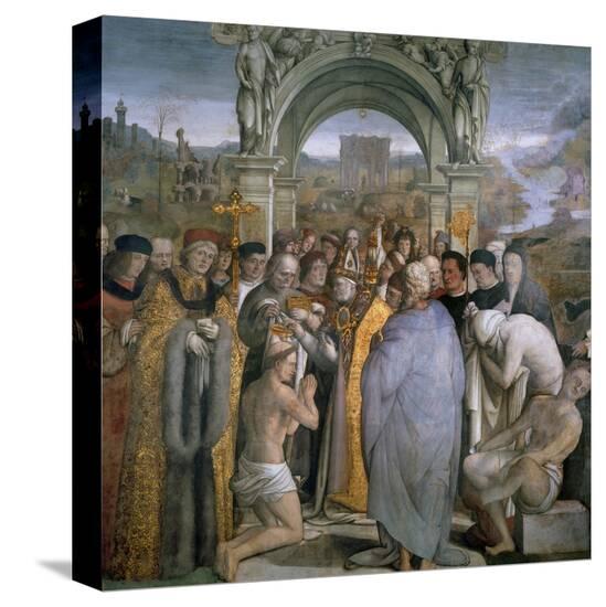 Stretched Canvas Print, , large