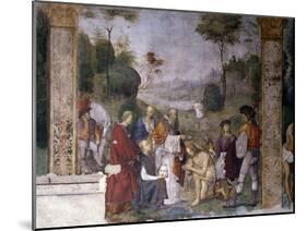 Baptism of Valerian, 1506-Amico Aspertini-Mounted Giclee Print