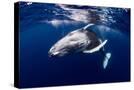 Stretched Canvas