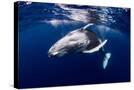 Stretched Canvas