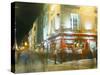 Bar Fleet Street, Temple Bar Area, Dublin, County Dublin, Eire (Ireland)-Bruno Barbier-Stretched Canvas