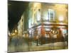 Bar Fleet Street, Temple Bar Area, Dublin, County Dublin, Eire (Ireland)-Bruno Barbier-Mounted Photographic Print