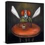 Bar Fly-Leah Saulnier-Framed Stretched Canvas