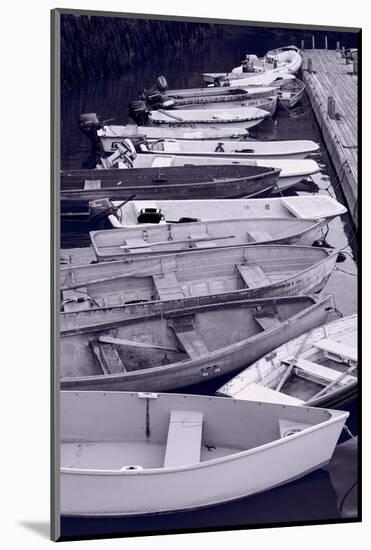 Bar Harbor Boats-Steve Gadomski-Mounted Photographic Print