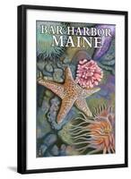 Bar Harbor, Maine - Tidepool Scene-Lantern Press-Framed Art Print