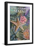 Bar Harbor, Maine - Tidepool Scene-Lantern Press-Framed Art Print