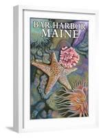 Bar Harbor, Maine - Tidepool Scene-Lantern Press-Framed Art Print