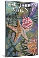 Bar Harbor, Maine - Tidepool Scene-Lantern Press-Mounted Art Print