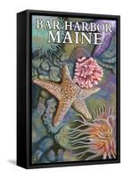 Bar Harbor, Maine - Tidepool Scene-Lantern Press-Framed Stretched Canvas